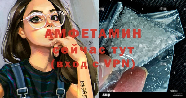 прущие крисы Горняк