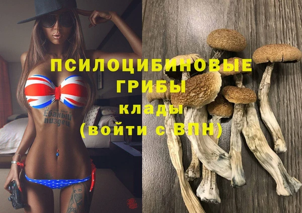 jwh Гусев