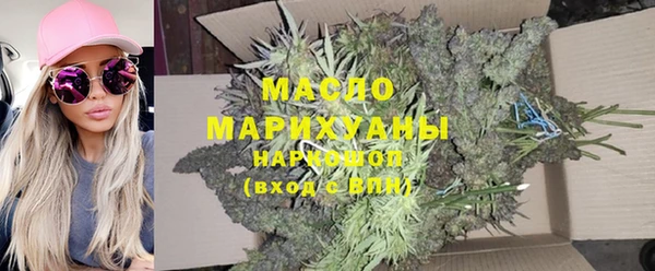 прущие крисы Горняк